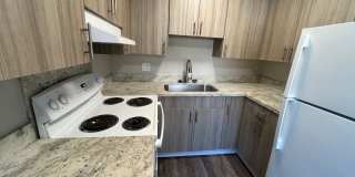 Redwoods Gallery 10