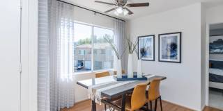 Park Sierra Gallery 19