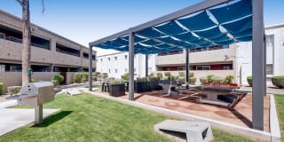 The Cortesian Gallery 1