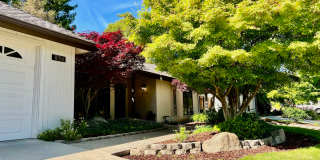 836 East Serena Avenue Gallery 1