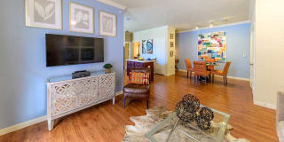 Parkway Grande Apartment Homes Gallery 6