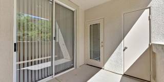908 Domnus Lane Gallery 21