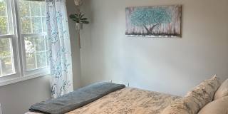 8420 Metzger Court Gallery 2