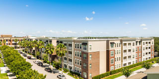 Parkside at Avalon Park Gallery 29