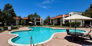 Upgraded 2 Bedroom 1 Bath Condo In Casa Del Cerro, Central A/C, Pool Upgraded 2 Bedroom 1 Bath Condo In Casa Del Cerro, Central A/C, Pool Gallery 1