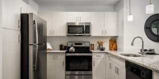 Paraiso at Fountain Square Gallery 44