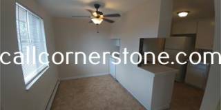 LP1 Research - #615 Gallery 2