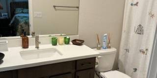 4140 Yucca Bloom Street Gallery 41