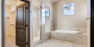 1696 Avenida Del Sol, Castle Rock, CO Gallery 25