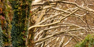 Northlight Gallery 81