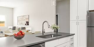 Vintage Johnson City Gallery 64