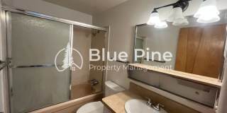 542 Gladstone Street Gallery 10