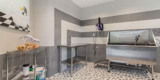 Art Avenue Gallery 30