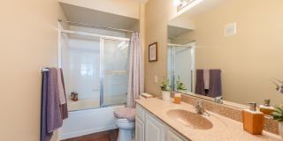 San Croix Gallery 25