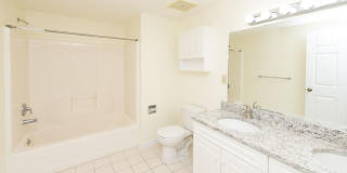 Chestnut Hill East Gallery 15