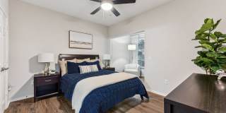 Stone Oak @ Parmer Gallery 12