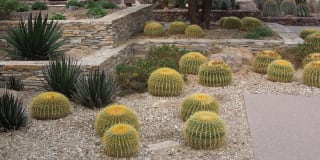 Allanza at the Lakes Gallery 17