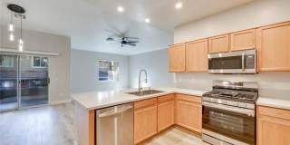 1008 Domnus ln Lane Gallery 1