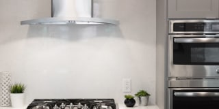 Avalon Dogpatch Gallery 13