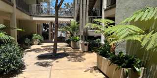 Mission Hills Commons Gallery 32