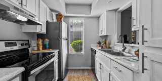 Sierra Walk Gallery 1