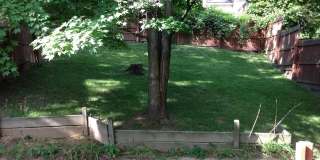 1205 Bartlow Street 1205 Bartlow Street Gallery 28