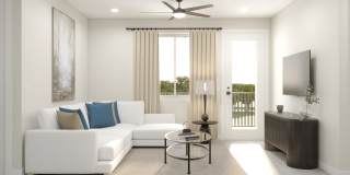 Amara Gallery 4