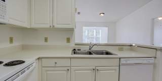 15205 HARBOUR VISTA CIR Gallery 15