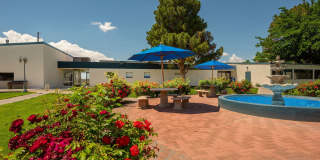 Blue Agave Villas Gallery 17