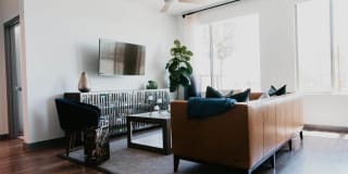 Tanager Tanager Gallery 37