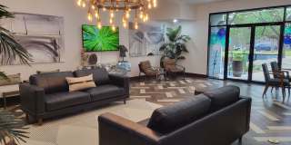 Lavera at Lake Highlands Gallery 1