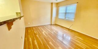 8864 WALUTES Circle Gallery 8