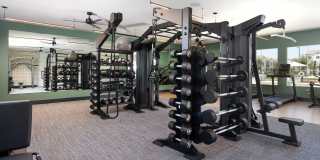 The Charlie Perris Gallery 5