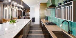 Novel Edgehill Gallery 25
