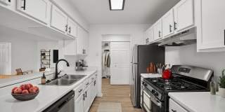 ReNew Woodland North and South Gallery 1