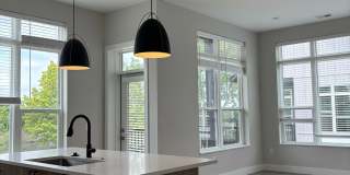 The Sullivan Gallery 41