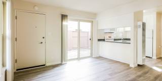 Camelback South Gallery 1