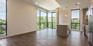 The Village Drey Gallery 3