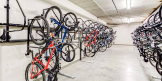 Velo Gallery 46