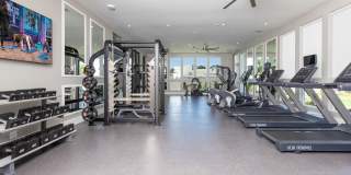 Solasta Solasta Gallery 20