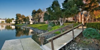 Riva Terra Apartments at Redwood Shores Gallery 72