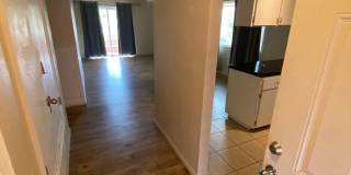 919-923 Alvarado Gallery 4