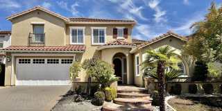 2458 Marsanne St Gallery 1