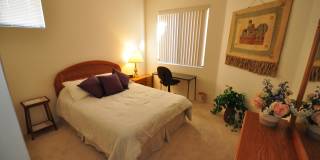 2017 W Via Nuevo Leon Gallery 9