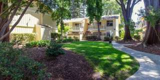 Evelyn Gardens Gallery 28