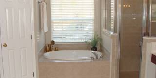 258 Porta Rosa Gallery 11