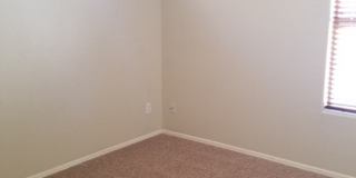 1447 E Mia Ln Gallery 22