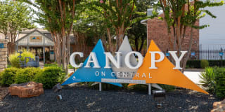 Canopy on Central Gallery 23