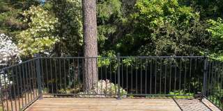 10959 Alta Sierra Drive 10959 Alta Sierra Drive Gallery 8