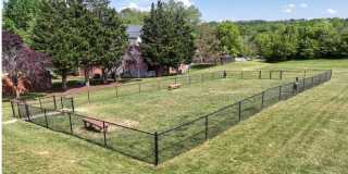 Glade Creek Gallery 13